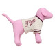 Колекційна Іграшка Собачка Copy Of Pink Mini Dog
