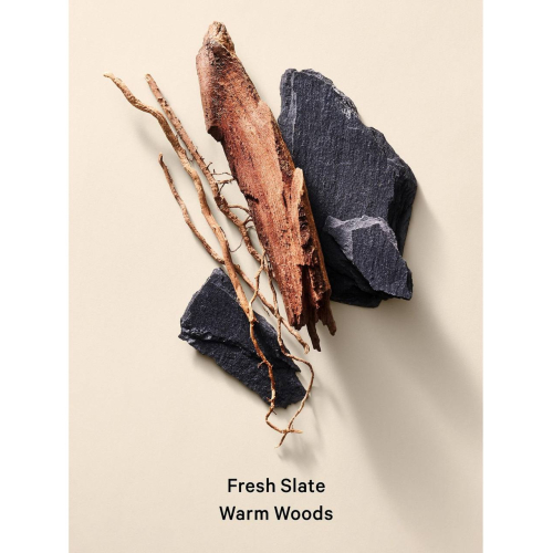 Парфумований гель для душу Victoria’s Secret Fresh Slate Warm Woods Men’s Gel Body Wash 296 ml