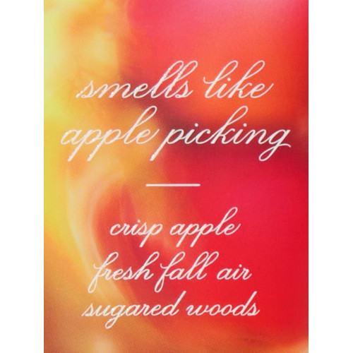 Парфумований Лосьйон Для Тіла Victoria’s Secret Dreamy Apple Orchard Fragrance Lotion 236 мл