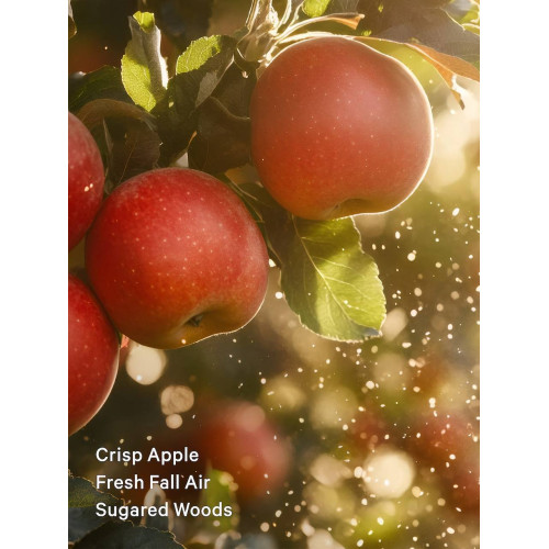Парфумований Лосьйон Для Тіла Victoria’s Secret Dreamy Apple Orchard Fragrance Lotion 236 мл