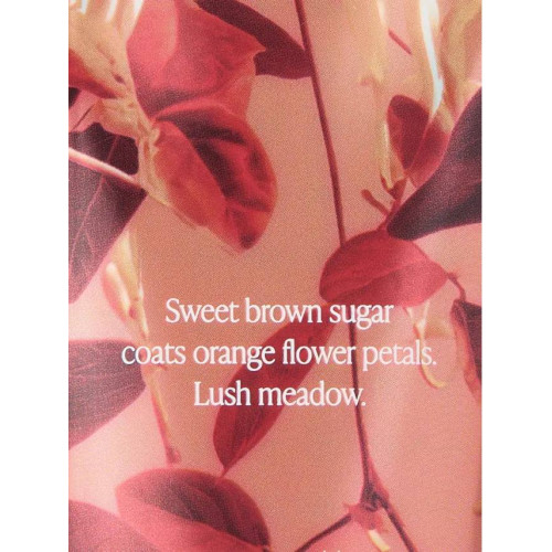 Парфумований Лосьйон Для Тіла Victoria’s Secret Rich Honeysuckle Apricot Fragrance Lotion 236 мл
