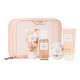 Подарунковий набір Victoria's Secret Coconut Milk & Rose Natural The Balance Starter Kit