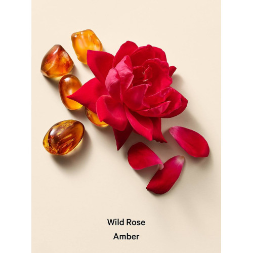 Олія Для Тіла Victoria’s Secret Wild Rose Amber Body & Massage Oil 236 мл