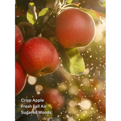 Парфумований Спрей Для Тіла Victoria’s Secret Dreamy Apple Orchard Fragrance Mist 250 мл